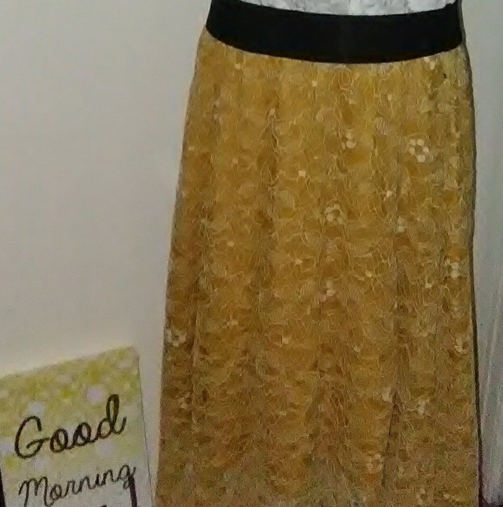 LuLaRoe Lola skirt